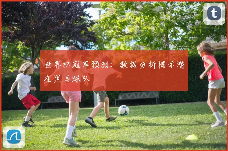 世界杯冠军预测：数据分析揭示潜在黑马球队