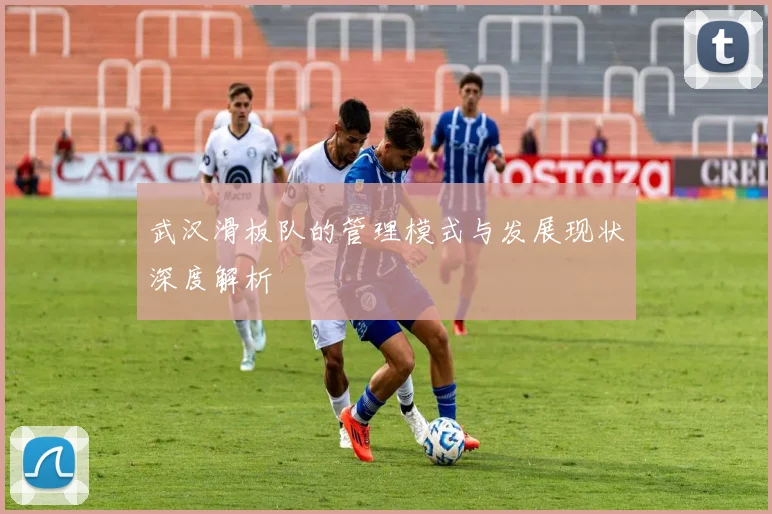 武汉滑板队的管理模式与发展现状深度解析