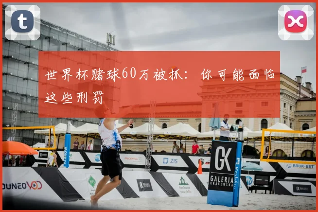 世界杯赌球60万被抓：你可能面临这些刑罚