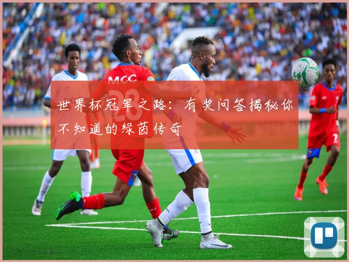 世界杯冠军之路：有奖问答揭秘你不知道的绿茵传奇