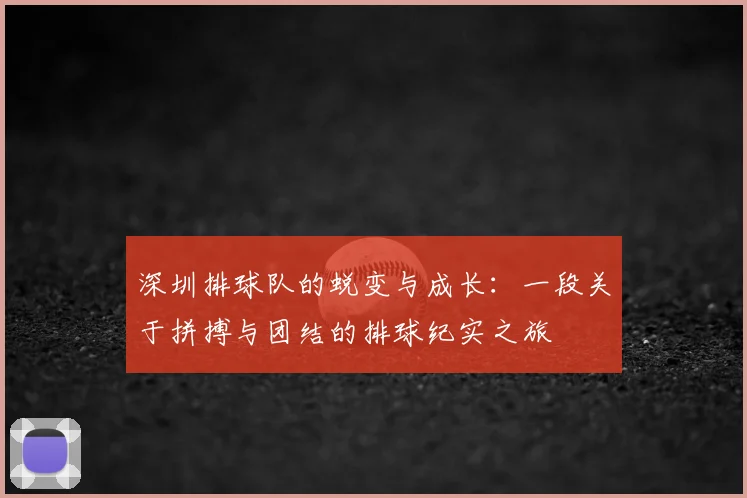 深圳排球队的蜕变与成长：一段关于拼搏与团结的排球纪实之旅