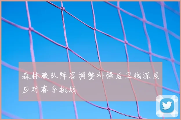 森林狼队阵容调整补强后卫线深度应对赛季挑战