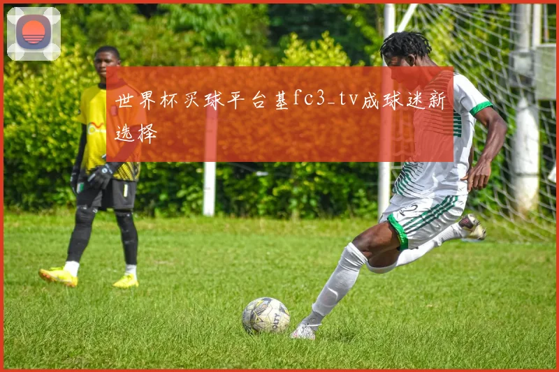 世界杯买球平台基fc3_tv成球迷新选择