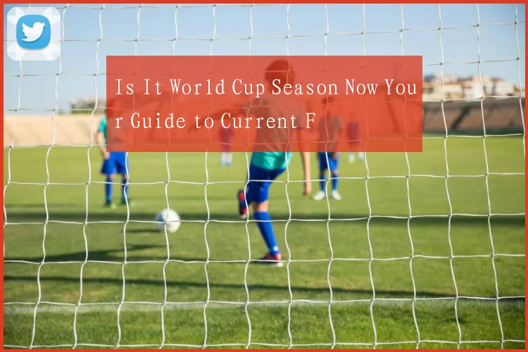 Is It World Cup Season Now Your Guide to Current F