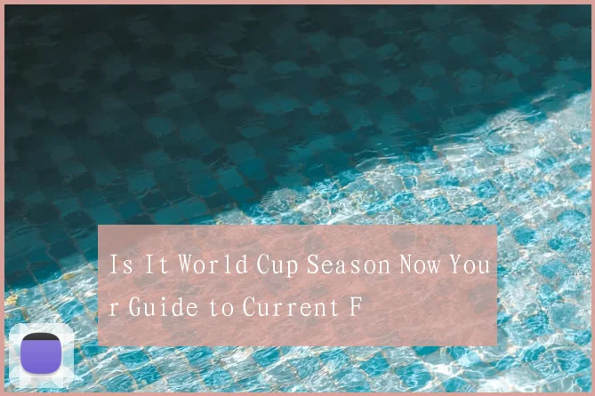 Is It World Cup Season Now Your Guide to Current F