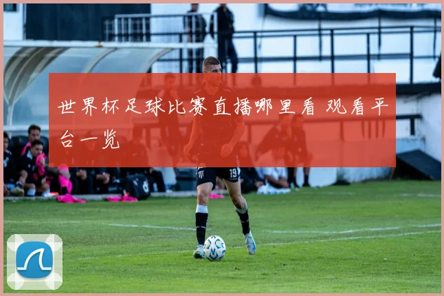 世界杯足球比赛直播哪里看 观看平台一览