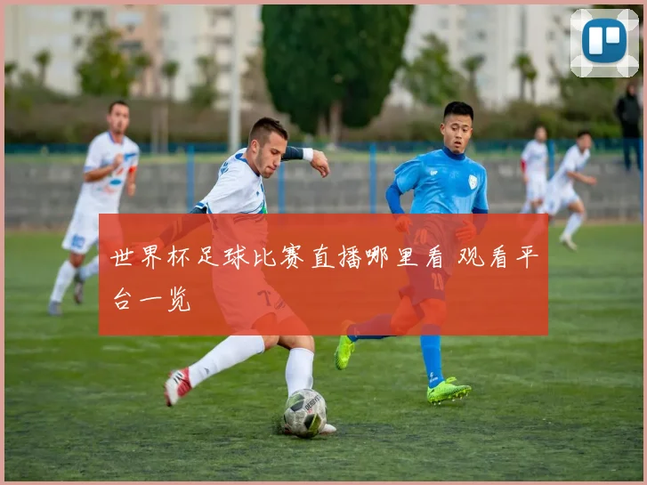 世界杯足球比赛直播哪里看 观看平台一览