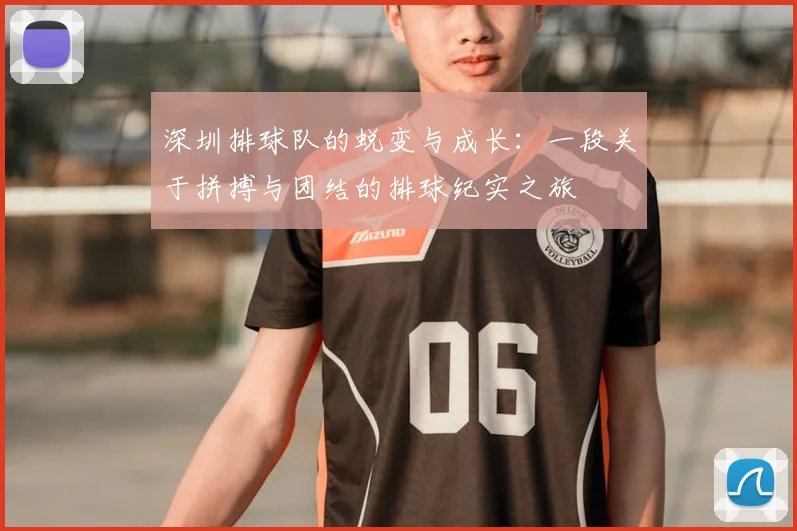 深圳排球队的蜕变与成长：一段关于拼搏与团结的排球纪实之旅